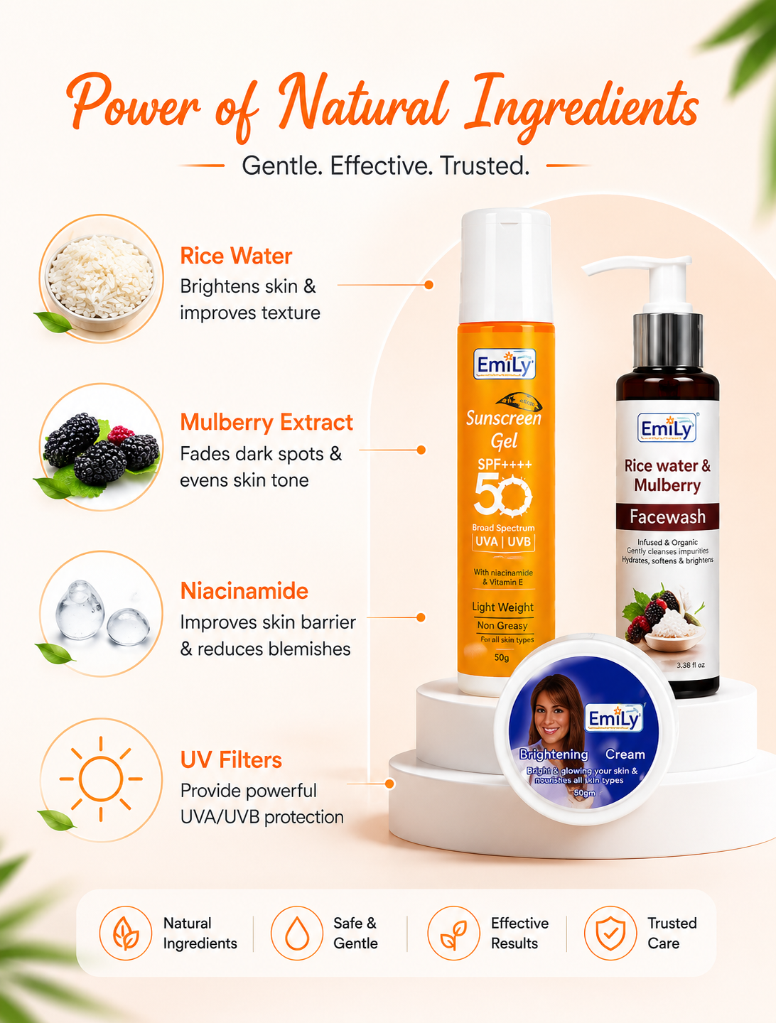 Night Cream / Rice Water & Mulberry Face Wash / SPF Sunscreen 50++ Gel